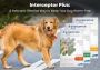 Interceptor Plus for Dogs: The Safe and Effective Worm Preve