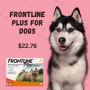 Frontline Plus for Dogs: Frontline Plus Flea and Tick Treatm