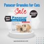 Shop Panacur Granules for Cats with Free Shipping