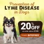 Prevention of Lyme Disease in Dogs: 20% Off on $139 Above