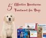Shop Top 5 Heartworm Treatment for Dogs with Free Shipping