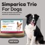 Simparica Trio for Dogs: ShopSimparica Trio Chewable Tablets