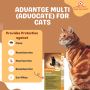 Buy Advantage Multi for Cats Online