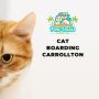 How to Find the Best Cat Boarding Facility in The Colony, TX