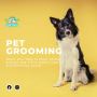 Dog Grooming Carrollton