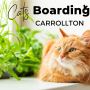 Paw Oasis Pet Resort - Cat Boarding