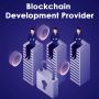 Blockchain Development Provider