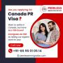 Which consultancy is best for immigration? | 8595010514