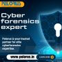 cyber forensics expert|cyber forensics services