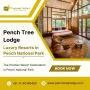 Experience Wildlife Up Close: Best Resorts in Pench Experience Wildlife Up Close: Best Resorts in Pench