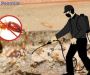 Looking For Best Termite Control in Paschim Vihar