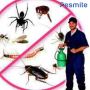 Looking For Best cockroach-control in Paschim Vihar