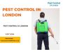 Cheap, Reliable, and Fast Pest Control in London
