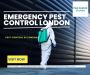 Emergency Pest Control London Provides Rapid Response