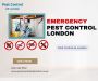  Emergency pest control in London is available