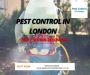 We provide service expert pest control in London 