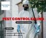 Pest Control 24 London is here to help you in Ealing