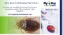 Eliminate Bed Bugs Fast! Expert Exterminator Services