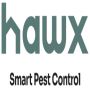 Comprehensive Pest Control Solutions