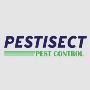  Pest Control Services in Brampton