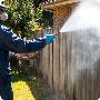 Are You Tired of Unwanted Pests Invading Your Home Melbourne