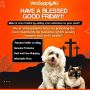 Have a Graceful Good Friday Take preventive measures for pet