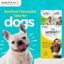 Sentinel Flavor Tabs for Dogs: An Ultimate Tasty Protection 