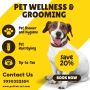 Expert Dog Grooming Service at Home - Pet Hair Set