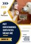 Find Professional Pet Grooming Near Me|petzzco