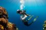 Dive into Adventure with Phuket Dive Center