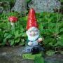 Planning for a Unique Gift? - Buy Small Gnomes Online from P