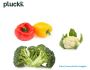 Switch to Fresh Online Vegetables | with Pluckk