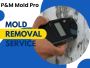 Looking for Efficient Mold Remediation NJ companies?