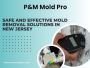 Safe and Effective Mold Removal Solutions in New Jersey