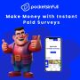 Make money with instant paid surveys