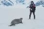 Book a Luxury Antarctica Expedition