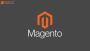 Top 11 Reasons To Choose Magento Development Services For E-