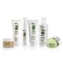 Plum is a fresh line of 100% vegan beauty 