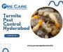 Termite Pest Control Hyderabad | Pre care Pest Control