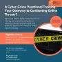 Is Cyber Crime Vocational Training Your Solution to Online T