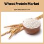 Global Wheat Protein Market Research Report 2022-2029 