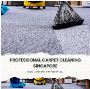 Singapore's Top Professional Carpet Cleaning Services