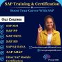 SAP SD Training & Certification in Angola at Prompt Edify