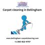 The Best Carpet Cleaning Services in Bellingham