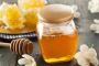 Elevate Your Taste: Premium Organic Raw Honey Available Now