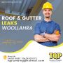 We will repair your Roof & gutter leaks in the best way