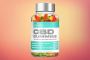Vigor Vita CBD Gummies : Anxiety and depression are common problems, especially among college students.