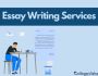 Essay Writing Services