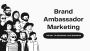 Brand Ambassador - Public Advertising