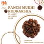 Shop Panch Mukhi Rudraksha Online now and get its benefits